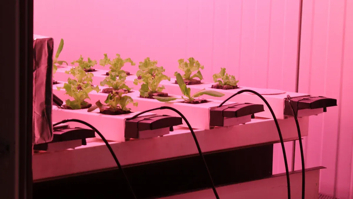 A függőleges növekedésű lámpák valóban elősegítik a növények jobb növekedését?